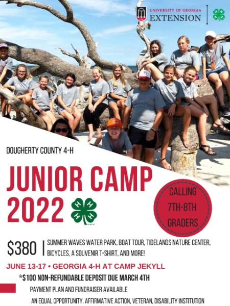 Get ready for fun on the beach! Junior Camp is at Jekyll Island this year!